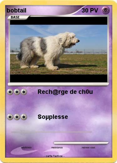 Pokemon bobtail