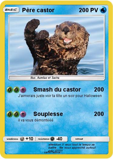 Pokemon Père castor