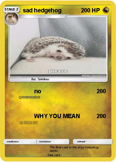 Pokemon sad hedgehog