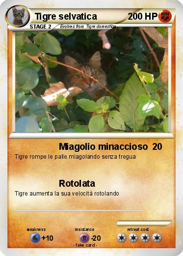 Pokemon Tigre selvatica