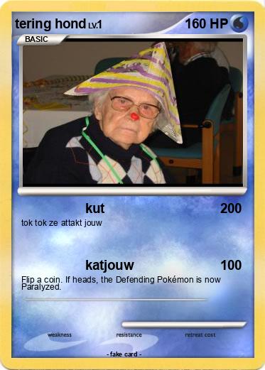 Pokemon tering hond