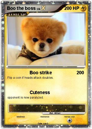 Pokemon Boo the boss