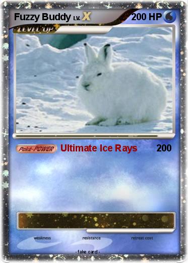 Pokemon Fuzzy Buddy