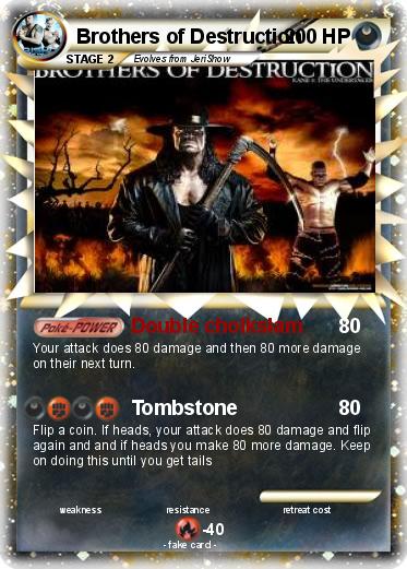 Pokemon Brothers of Destruction