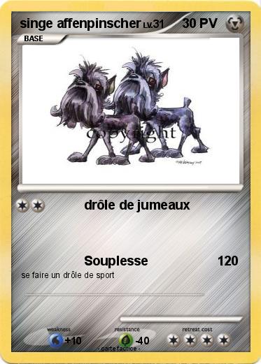 Pokemon singe affenpinscher