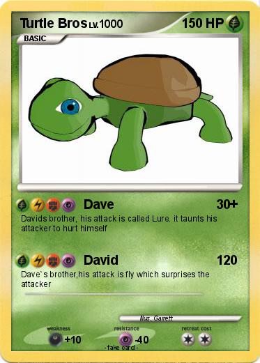 Pokemon Turtle Bros