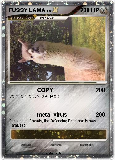 Pokemon FUSSY LAMA