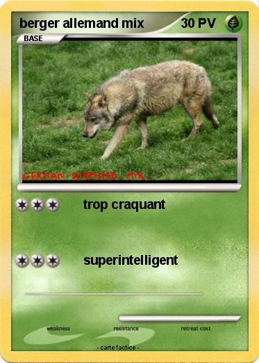 Pokemon berger allemand mix