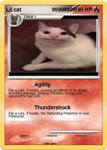 Pokemon Lil cat                     99999999