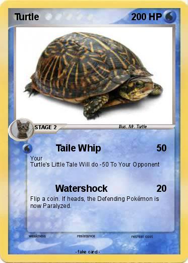 Pokemon Turtle