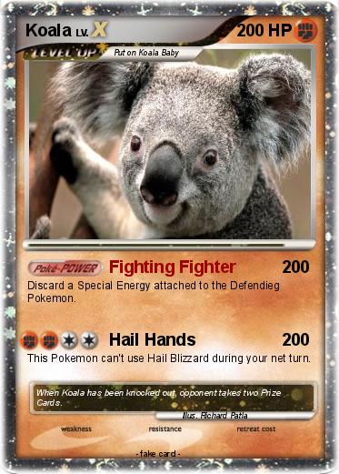 Pokemon Koala