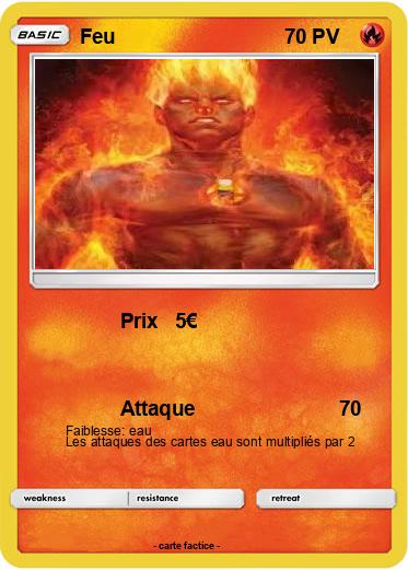 Pokemon Feu