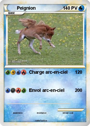Pokemon Peignion