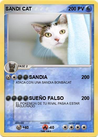 Pokemon SANDI CAT