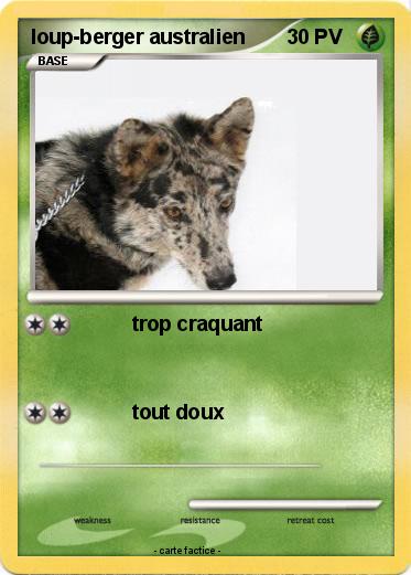 Pokemon loup-berger australien