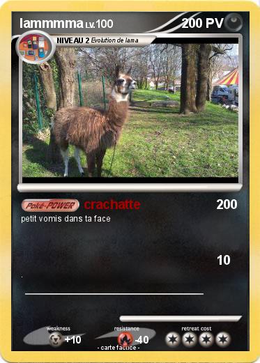 Pokemon lammmma