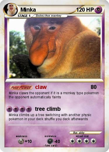 Pokemon Minka