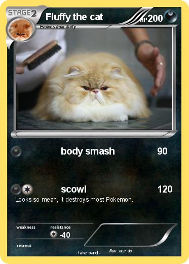 Pokemon Fluffy the cat