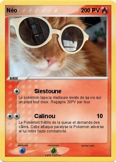 Pokemon Néo