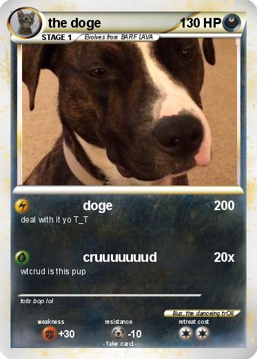 Pokemon the doge