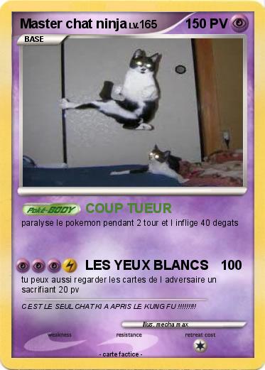 Pokemon Master chat ninja
