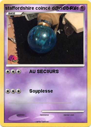 Pokemon staffordshire coincé d@ns boule