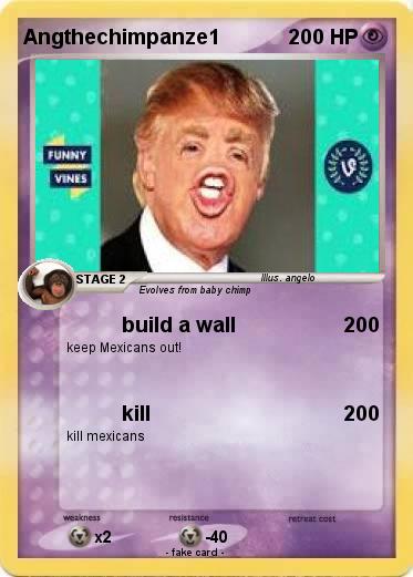 Pokemon Angthechimpanze1