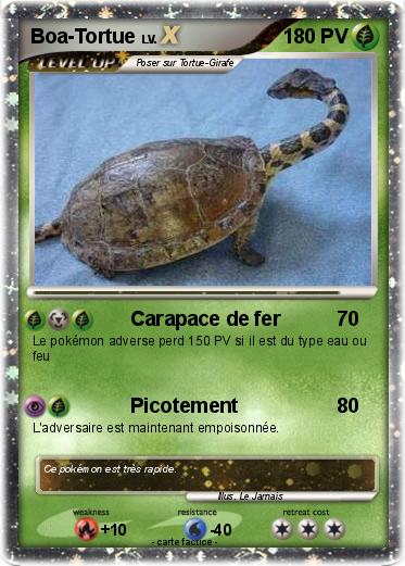 Pokemon Boa-Tortue