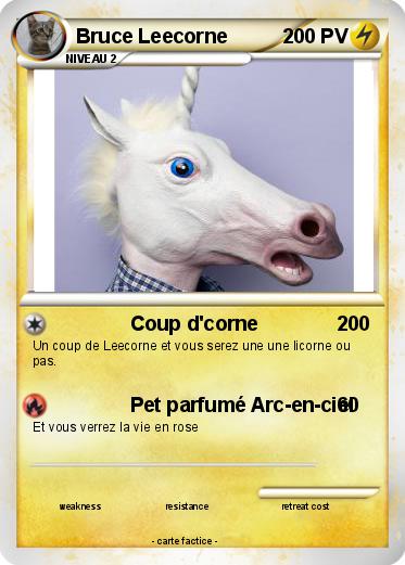 Pokemon Bruce Leecorne