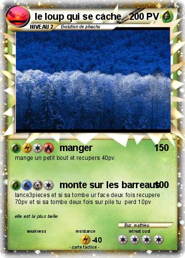 Pokemon le loup qui se cache