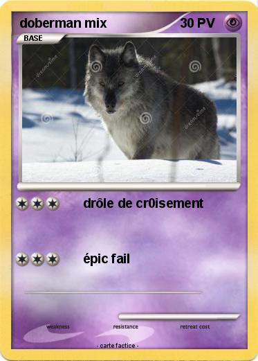 Pokemon doberman mix