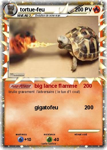 Pokemon tortue-feu