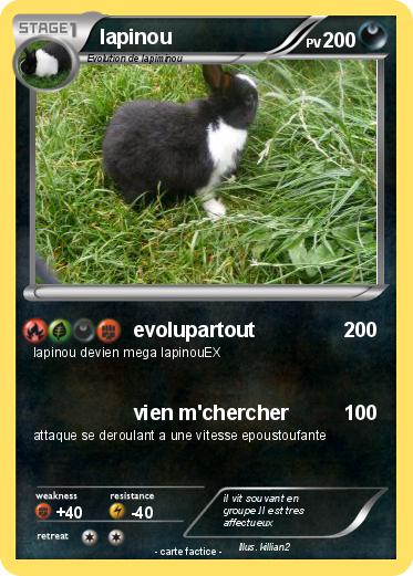 Pokemon lapinou