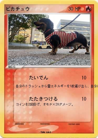 Pokemon ピカチュウ