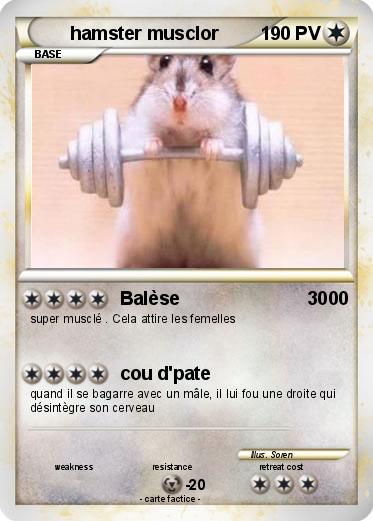 Pokemon hamster musclor