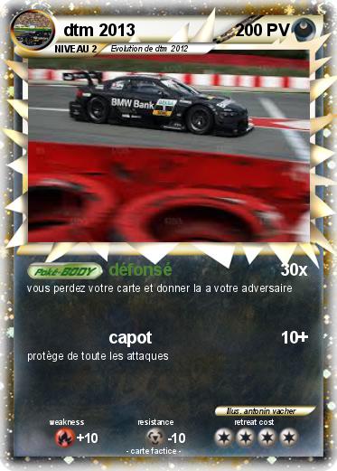 Pokemon dtm 2013