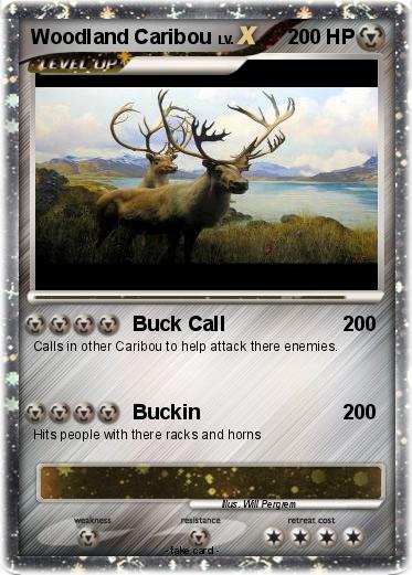 Pokemon Woodland Caribou