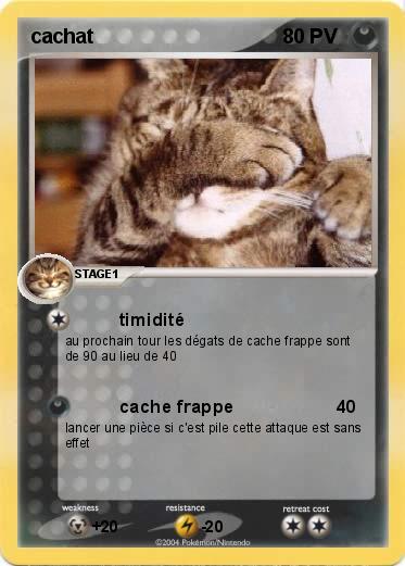 Pokemon cachat