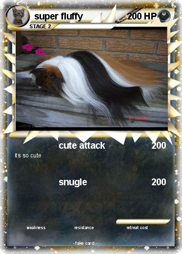 Pokemon super fluffy