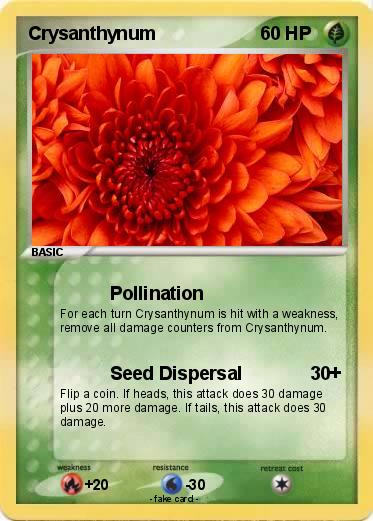 Pokemon Crysanthynum