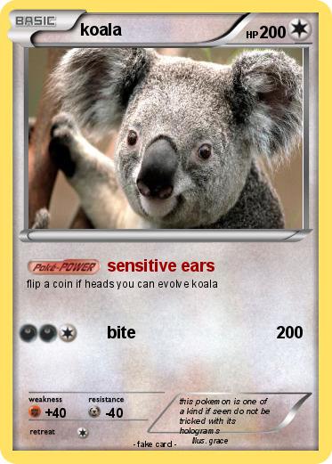 Pokemon koala
