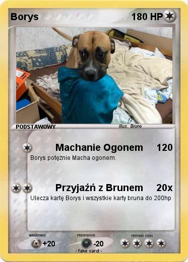 Pokemon Borys