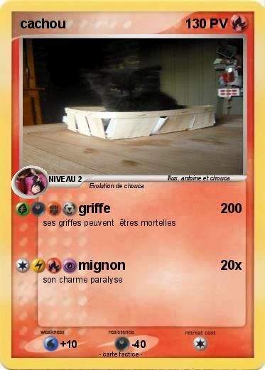 Pokemon cachou
