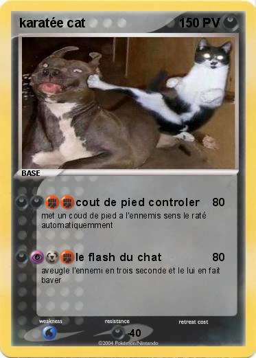 Pokemon karatée cat 