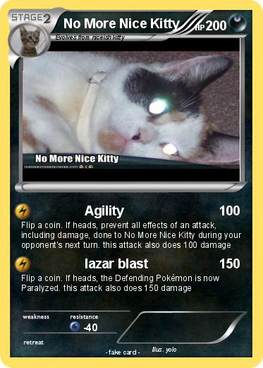 Pokemon No More Nice Kitty