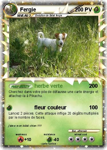 Pokemon Fergie