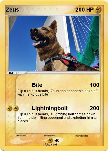 Pokemon Zeus