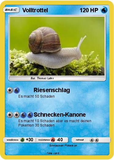 Pokemon Volltrottel