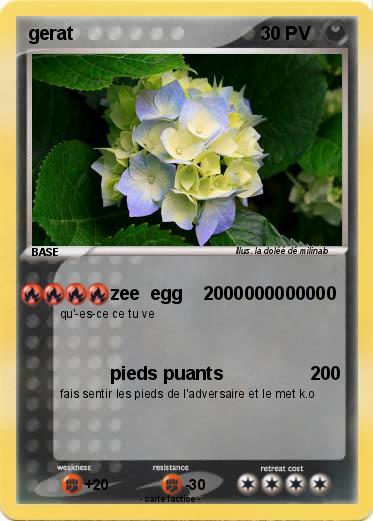 Pokemon gerat