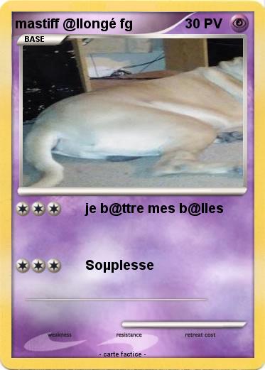 Pokemon mastiff @llongé fg